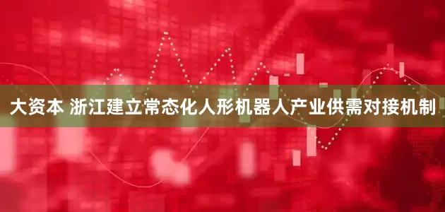 大资本 浙江建立常态化人形机器人产业供需对接机制